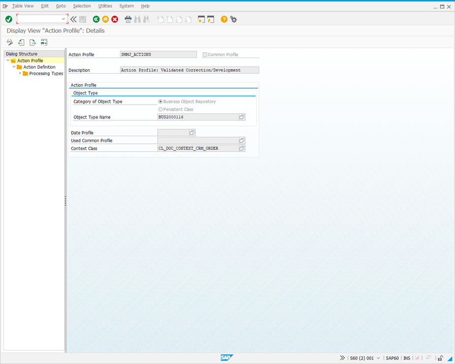 Display View "Action Profile": Details screen.