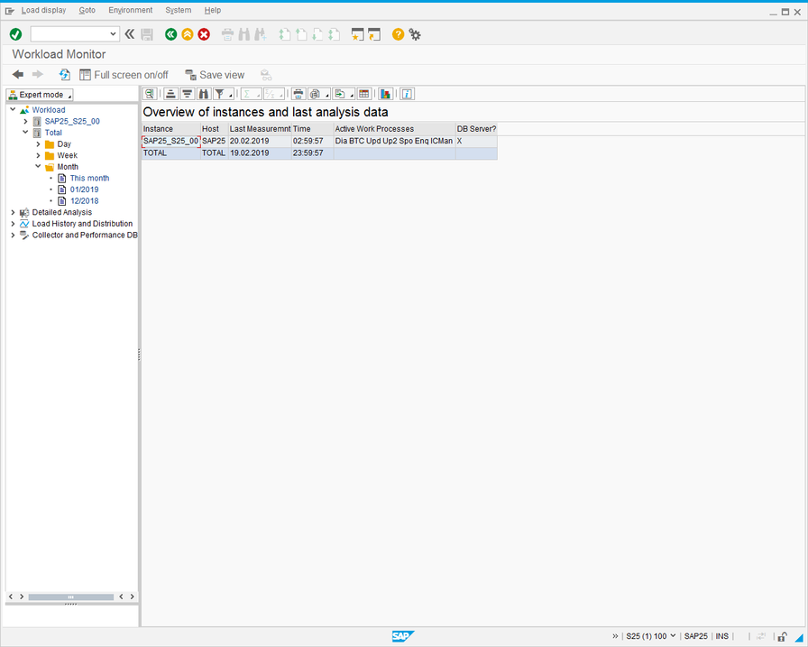 ST03N Month Overview.