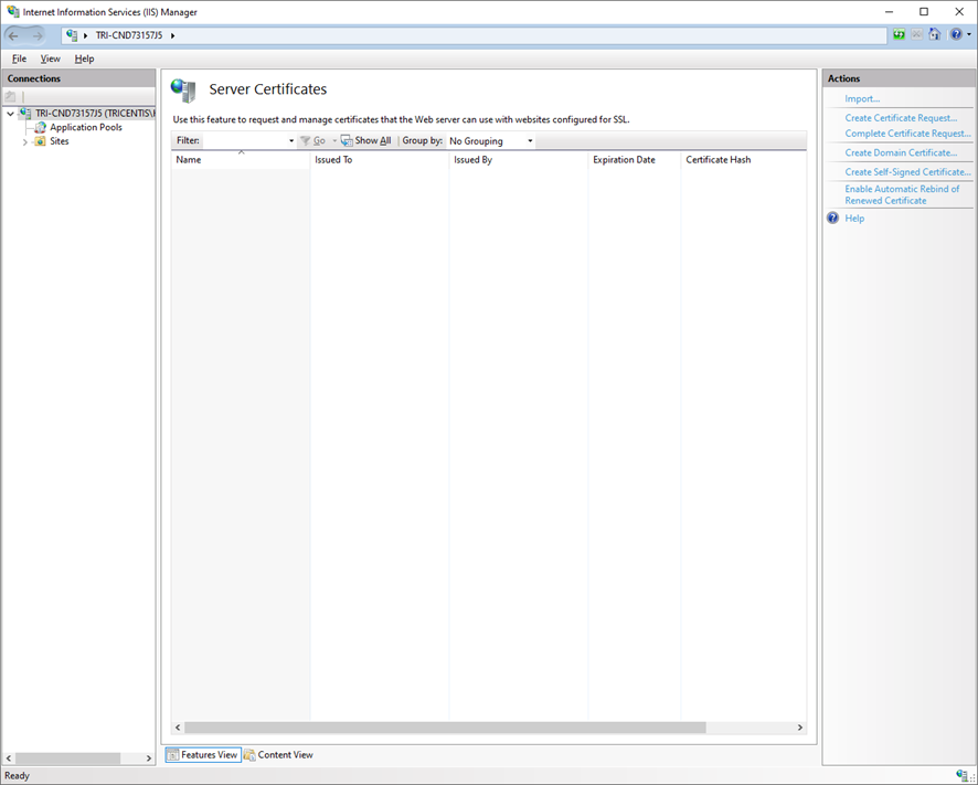 Internet Information Services (IIS) Manager - Server Certificates.