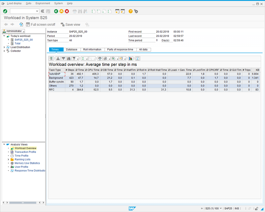ST03N Workload Summary.