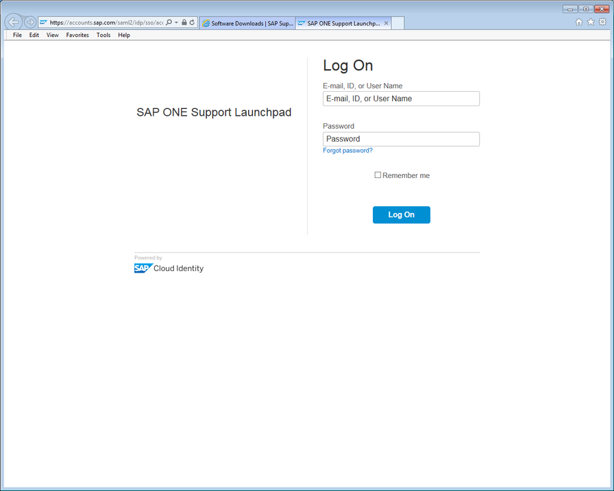 Log On screen.