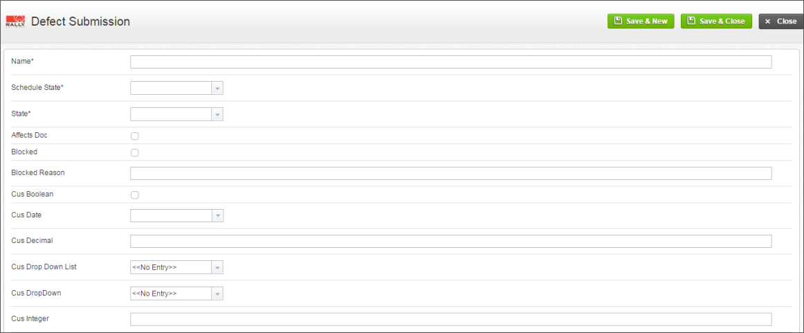rally_Defect_Submission_form.png