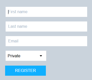 複数のテキスト ボックス（名前、姓、電子メール）、コンボ ボックス（訪問者の種類）、およびボタン(登録) を含む登録画面。